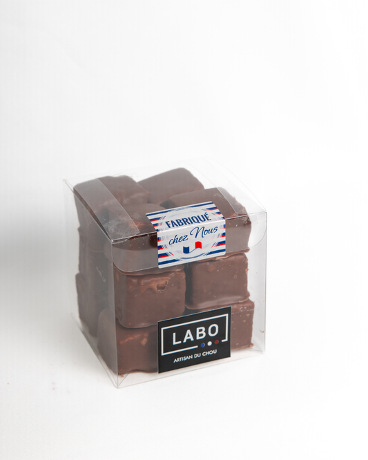 Guimauves à la vanille enrobées de chocolat LABO