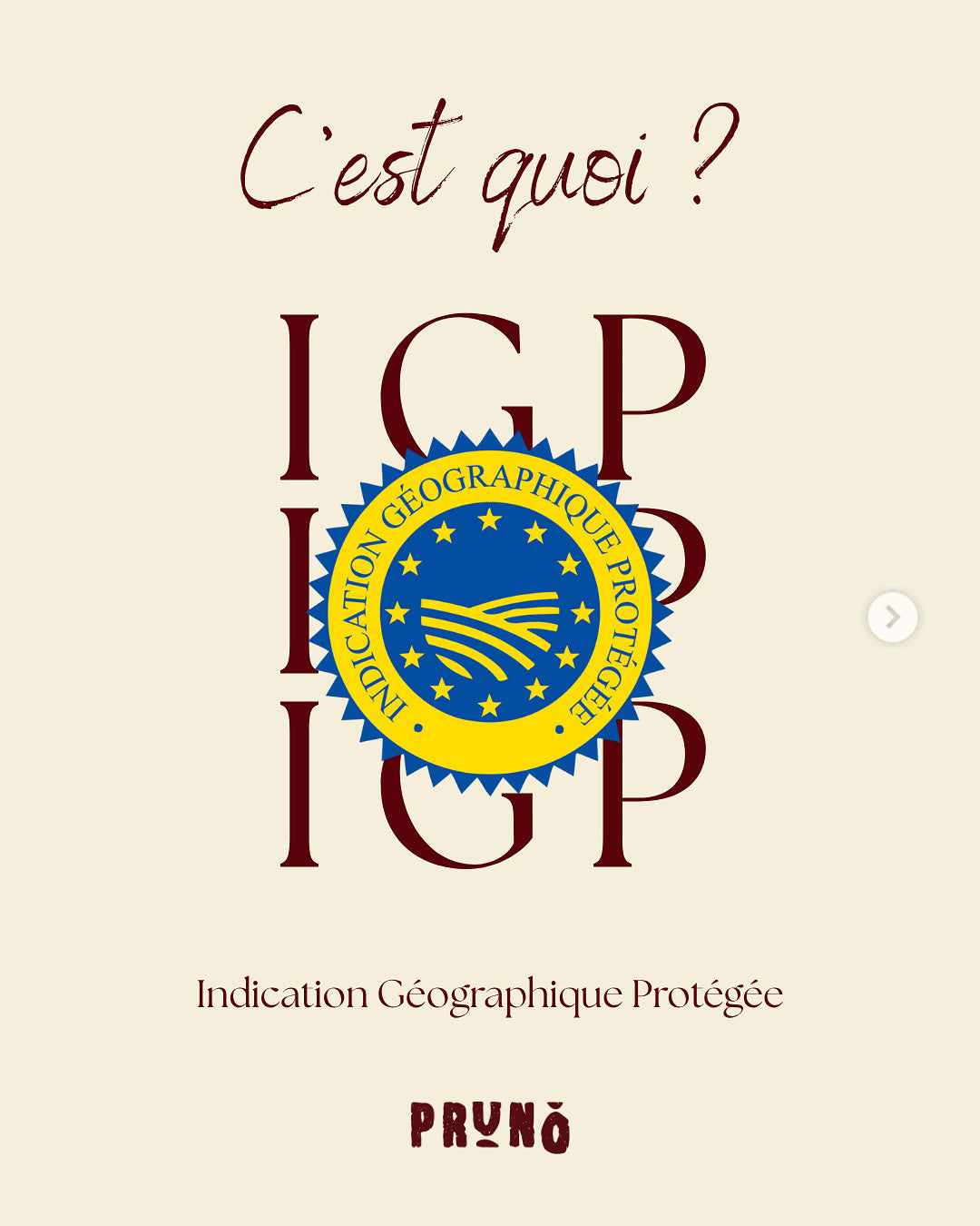 pruno---IGP-pruneau-d_agen